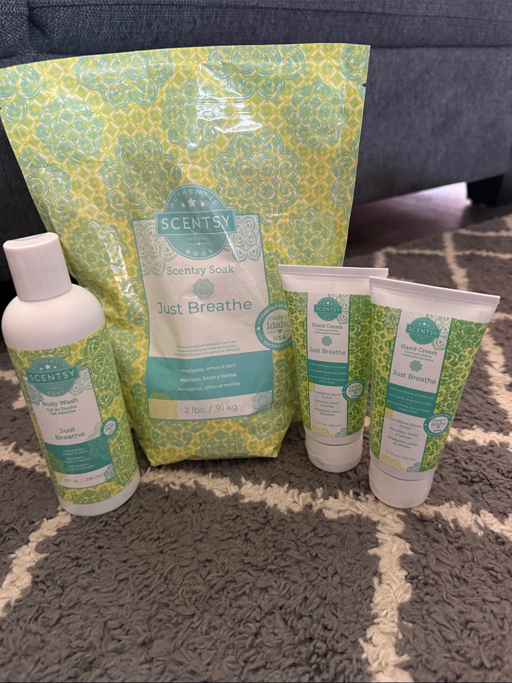Scentsy Just Breathe Kids Bath & Body Set in Teal and Green